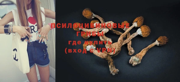 дживик Бугульма