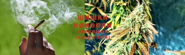амф Бронницы